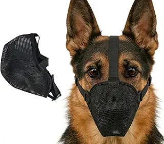 71Q71BEoQnL._AC_SY300_SX300_QL70_FMwebp_