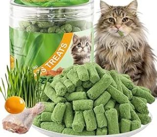 71xt0T1TkEL._AC_SY300_SX300_QL70_ML2_