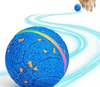 71yEpvKs3rL._AC_SY300_SX300_QL70_FMwebp_