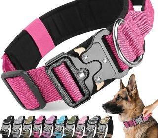 815K9NmB4mL._AC_SX569_