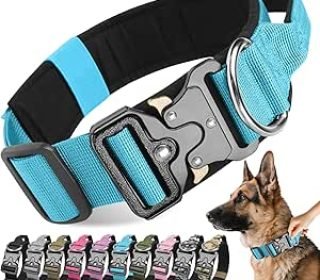 81ECafmKhdL._AC_SY300_SX300_QL70_ML2_