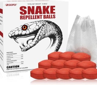 81xZClzAk7L._AC_SL1500_